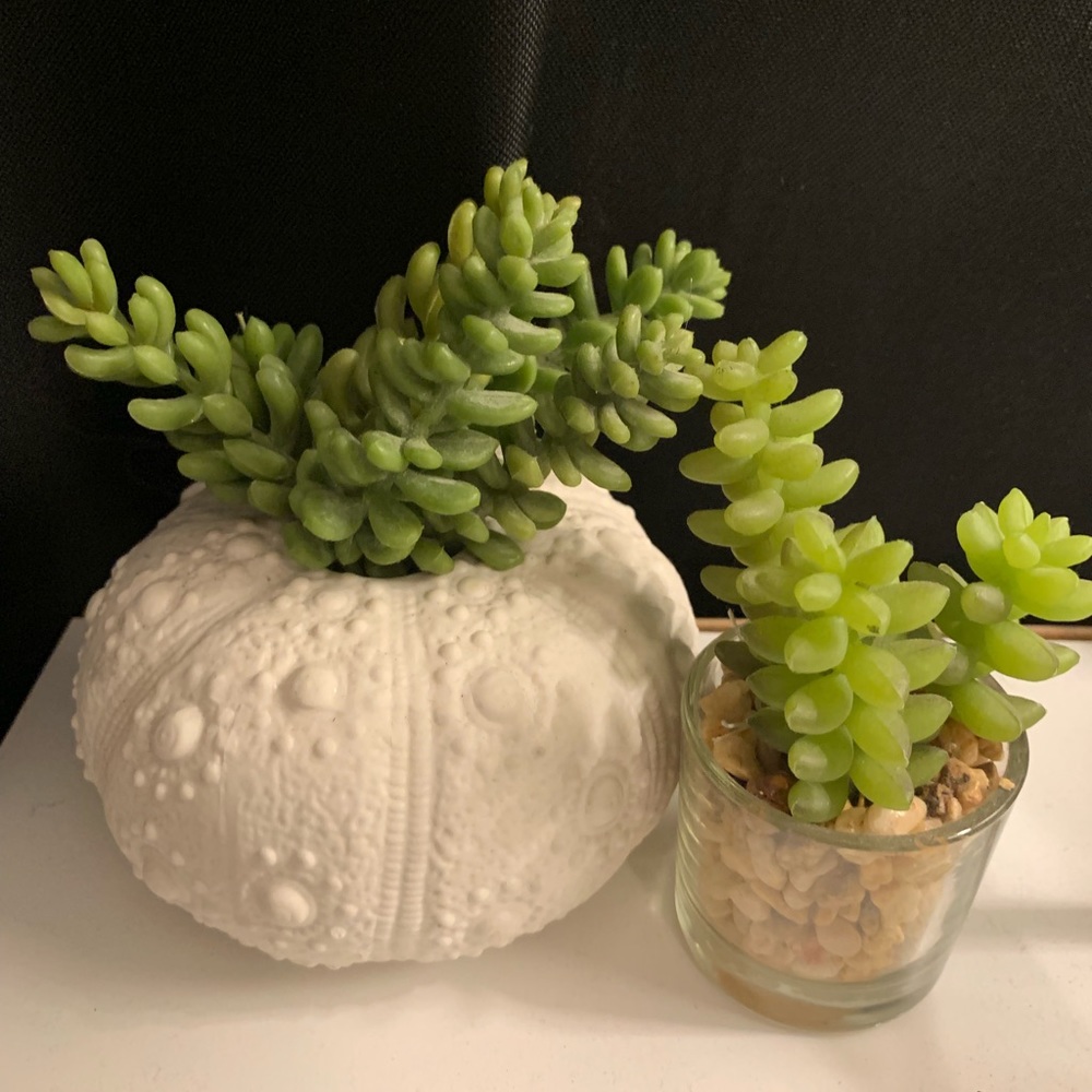 Fake succulent decor